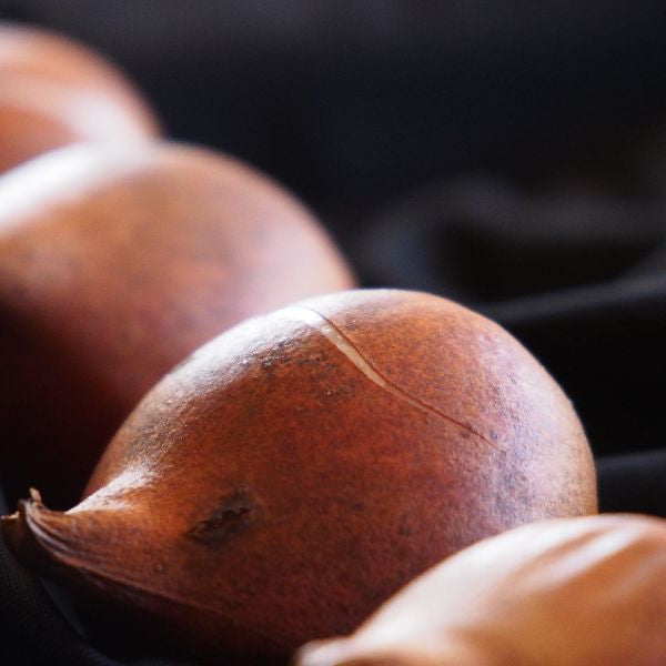 10 Biologische eetbare tulpenbollen