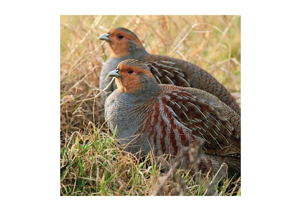 De natuur als onderdeel van ons bedrijf