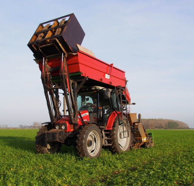 Grondbewerking met groenbemester