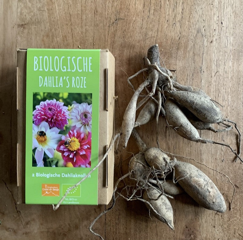 Bio doosje Croon en Bergh, Dahlia&
